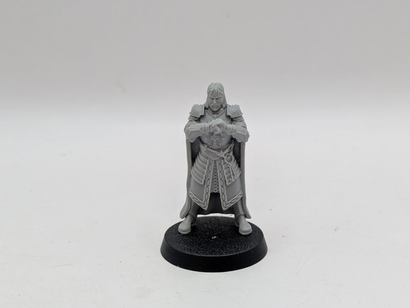 Warhammer Lord of the Rings: Gondor Wardens of Gondor - Missing Sword (AI044)