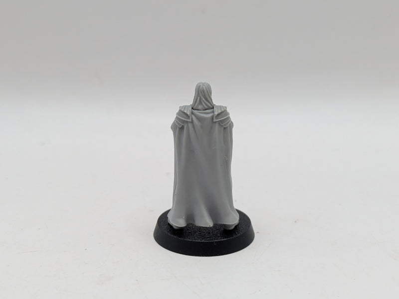 Warhammer Lord of the Rings: Gondor Wardens of Gondor - Missing Sword (AI044)