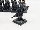 Warhammer Fantasy Prince Ulther's Dragon Company x17 inc Command BI125