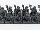 Warhammer Fantasy Prince Ulther's Dragon Company x17 inc Command BI125