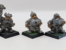 Citadel RRD1 Bugman's Dwarf Rangers x5  AL068
