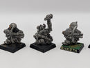 Citadel RRD1 Bugman's Dwarf Rangers x5  AL068
