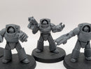Warhammer Horus Heresy: Space Marine Tartaros Terminators (AH089)