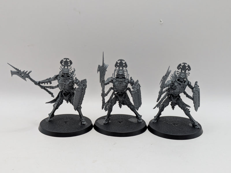 Warhammer Age of Sigmar: Ossiarch Bonereapers Immortis Guard (BJ023)