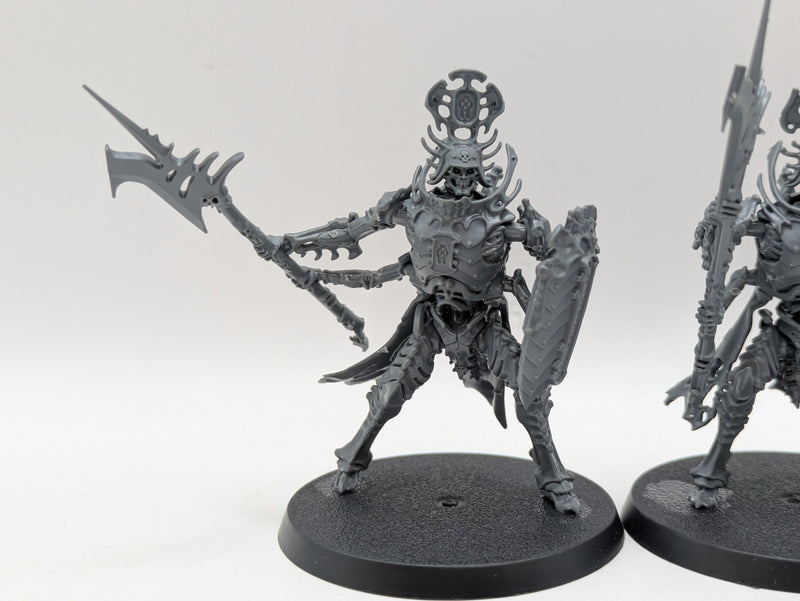 Warhammer Age of Sigmar: Ossiarch Bonereapers Immortis Guard (BJ023)