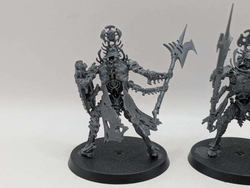 Warhammer Age of Sigmar: Ossiarch Bonereapers Immortis Guard (BJ023)