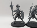 Warhammer Age of Sigmar: Ossiarch Bonereapers Immortis Guard (BJ023)