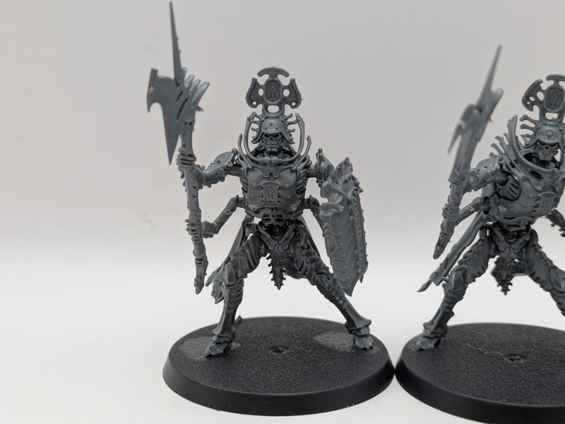 Warhammer Age of Sigmar: Ossiarch Bonereapers Immortis Guard (BJ023)