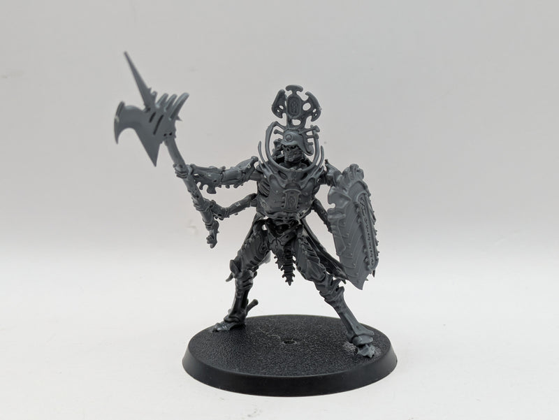 Warhammer Age of Sigmar: Ossiarch Bonereapers Immortis Guard (BJ023)