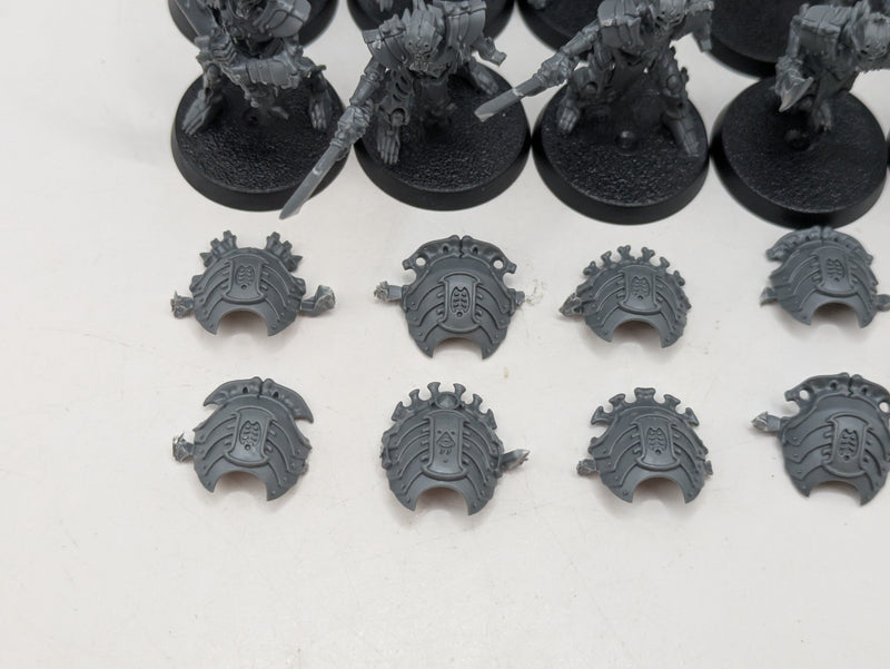 Warhammer Age of Sigmar: Ossiarch Bonereapers Mortek Guard (BA146)