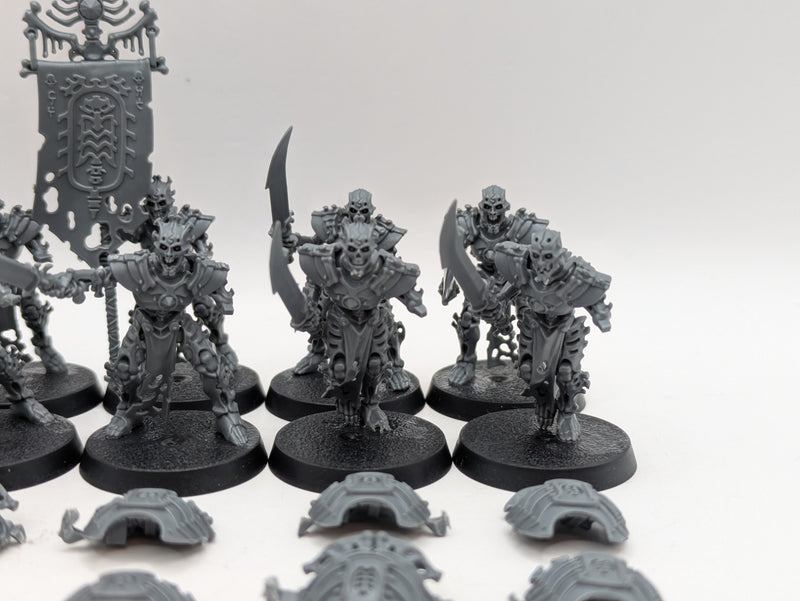 Warhammer Age of Sigmar: Ossiarch Bonereapers Mortek Guard (BA146)