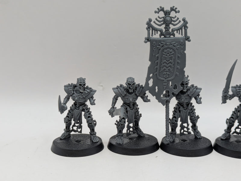 Warhammer Age of Sigmar: Ossiarch Bonereapers Mortek Guard (BA146)