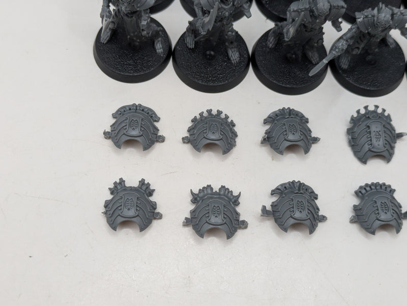 Warhammer Age of Sigmar: Ossiarch Bonereapers Mortek Guard (AE022)