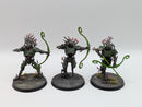 Warhammer Age of Sigmar: Sylvaneth Kurnoth Hunters (AH085)