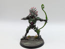 Warhammer Age of Sigmar: Sylvaneth Kurnoth Hunters (AH085)