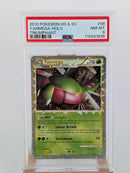 Pokemon Yanmega Holo - PSA 8 - Triumpant