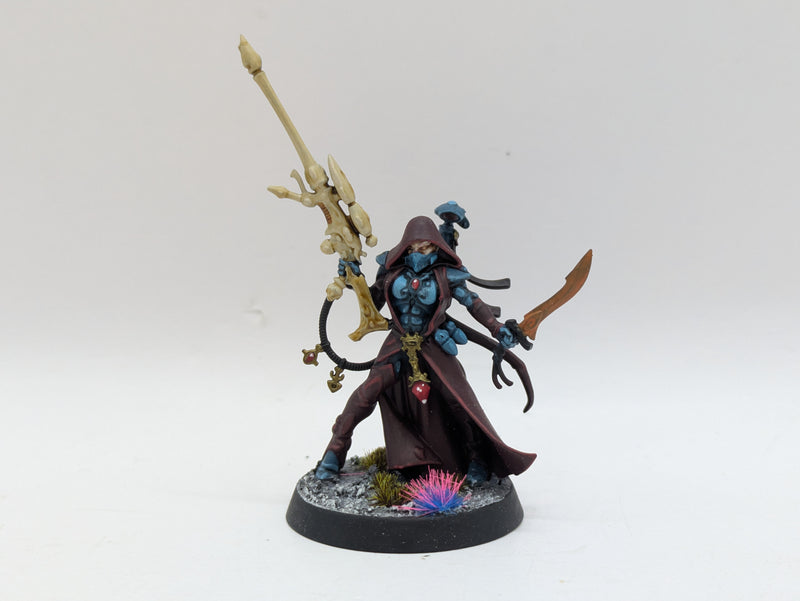 Warhammer 40k: Aeldari Eldar Amallyn Shadowguide - Well Painted (BJ141)