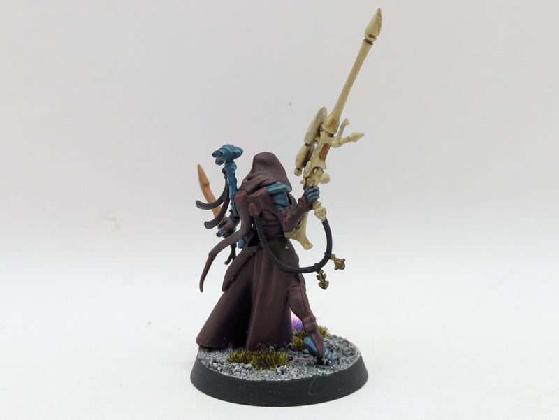 Warhammer 40k: Aeldari Eldar Amallyn Shadowguide - Well Painted (BJ141)