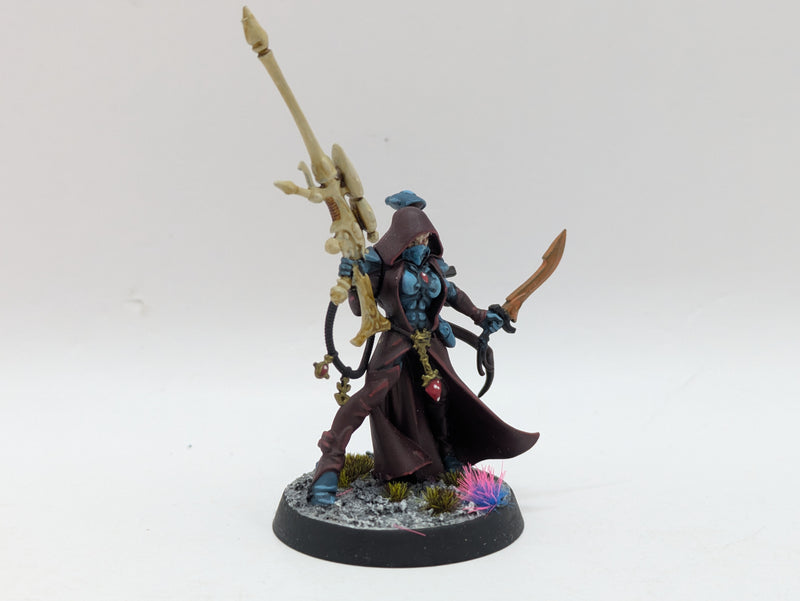 Warhammer 40k: Aeldari Eldar Amallyn Shadowguide - Well Painted (BJ141)