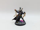 Warhammer 40k: Aeldari Eldar Corsairs Voidscarred Felarch, Way Seeker and Soul Weaver - Well Painted (BH160)