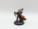 Warhammer 40k: Aeldari Eldar Corsairs Voidscarred Felarch, Way Seeker and Soul Weaver - Well Painted (BH160)