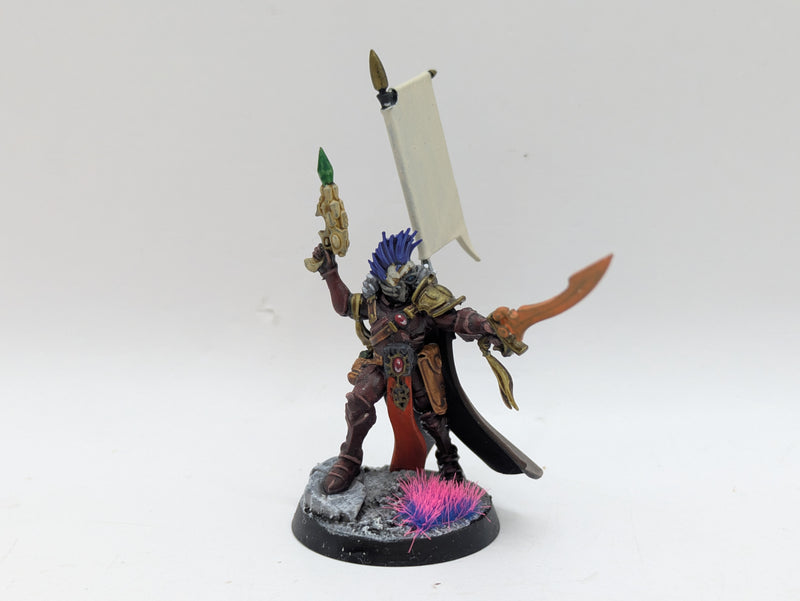 Warhammer 40k: Aeldari Eldar Corsairs Voidscarred Felarch, Way Seeker and Soul Weaver - Well Painted (BH160)