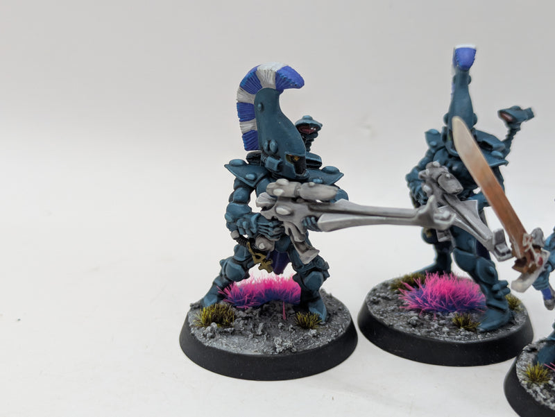 Warhammer 40k: Aeldari Eldar Dire Avengers - Well Painted (BJ125)