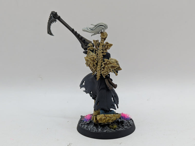 Warhammer 40k: Aeldari Eldar Maugan Ra - Well Painted (BJ121)