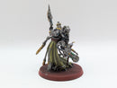 Warhammer 40k: Adeptus Mechanicus Tech-Priest Dominus - Well Painted (AW003)