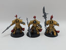 Warhammer 40k: Adeptus Custodes Allarus Custodians (AD138)