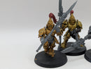 Warhammer 40k: Adeptus Custodes Custodian Guard (AF011)
