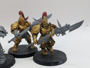Warhammer 40k: Adeptus Custodes Custodian Guard (AF011)