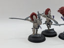 Warhammer 40k: Aeldari Eldar Howling Banshees (BJ130)