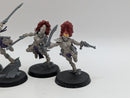 Warhammer 40k: Aeldari Eldar Howling Banshees (BJ130)