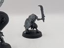 Warhammer Miniature of the Month Bundle AW163