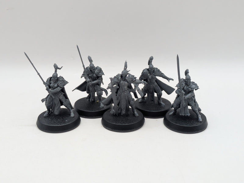 Warhammer 40k: Adeptus Custodes Vigilator Squad (BI001)