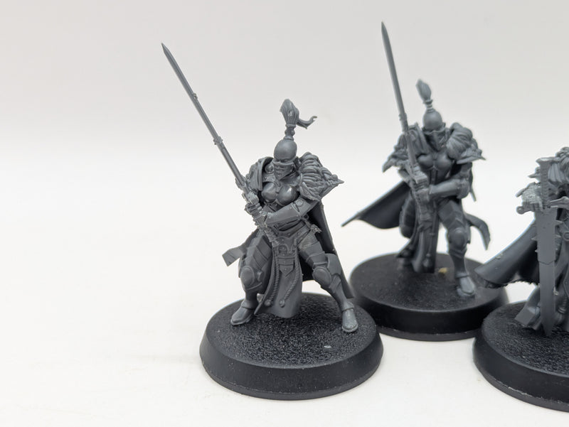 Warhammer 40k: Adeptus Custodes Vigilator Squad (BI001)