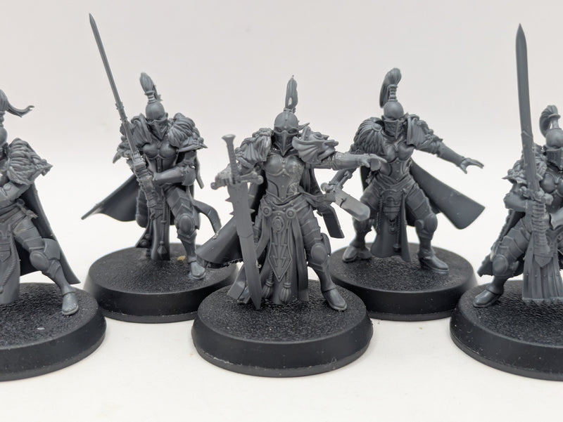 Warhammer 40k: Adeptus Custodes Vigilator Squad (BI001)