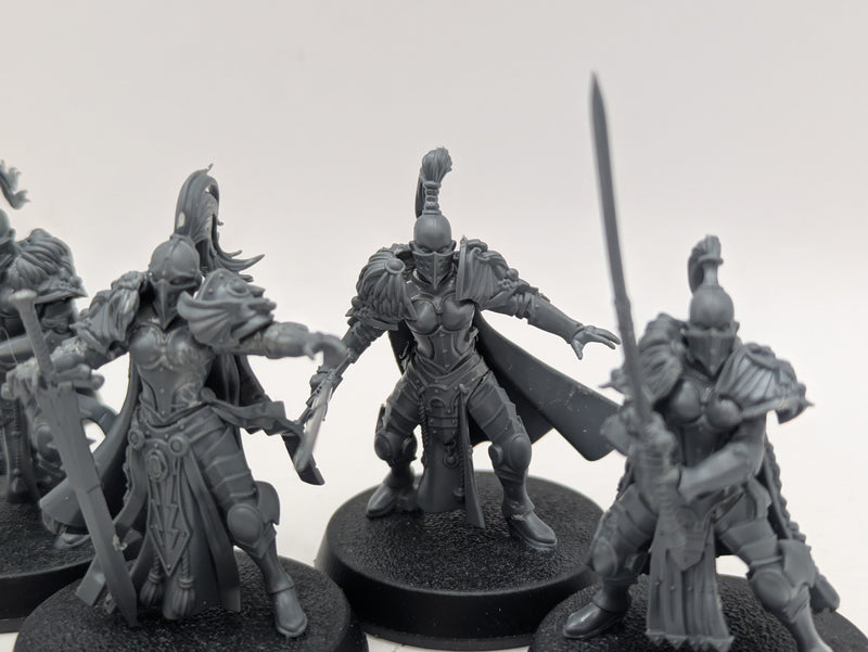 Warhammer 40k: Adeptus Custodes Vigilator Squad (BI001)