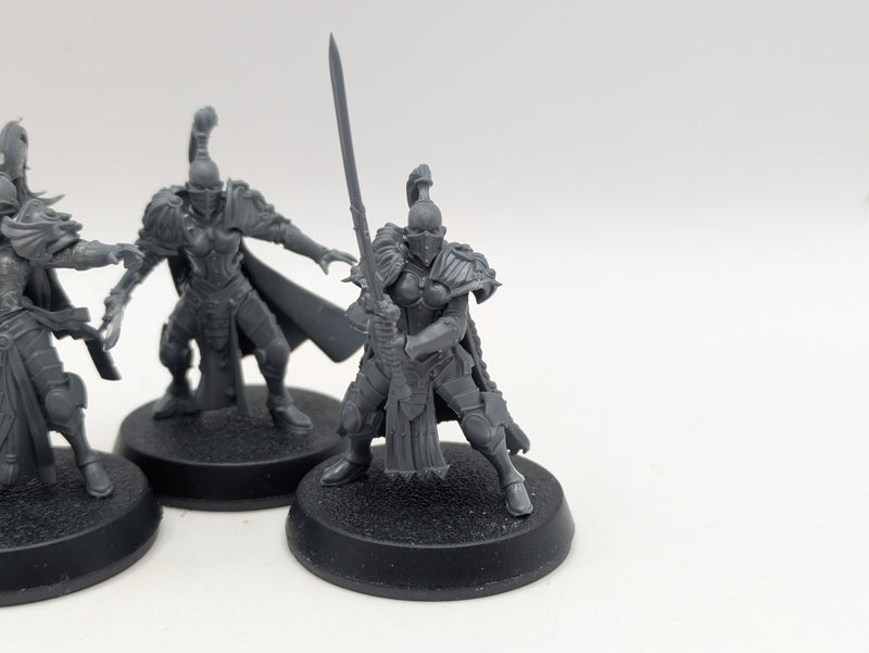 Warhammer 40k: Adeptus Custodes Vigilator Squad (BI001)