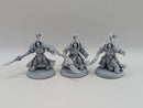 Warhammer 40k: Adeptus Custodes Allarus Custodians (AO028)