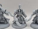 Warhammer 40k: Adeptus Custodes Allarus Custodians (AO028)