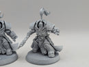 Warhammer 40k: Adeptus Custodes Allarus Custodians (AO028)
