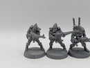 Warhammer 40k: Aeldari Eldar Guardians (BI096)