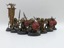Warhammer Age of Sigmar: Orruk Warclans Gutrippaz - Well Painted (BJ139)