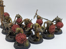 Warhammer Age of Sigmar: Orruk Warclans Gutrippaz - Well Painted (BJ139)
