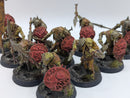 Warhammer Age of Sigmar: Orruk Warclans Gutrippaz - Well Painted (BJ139)