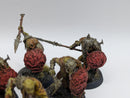 Warhammer Age of Sigmar: Orruk Warclans Gutrippaz - Well Painted (BJ139)
