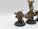 Warhammer Age of Sigmar: Orruk Warclans Man-Skewer Boltboyz - Well Painted (BI012)