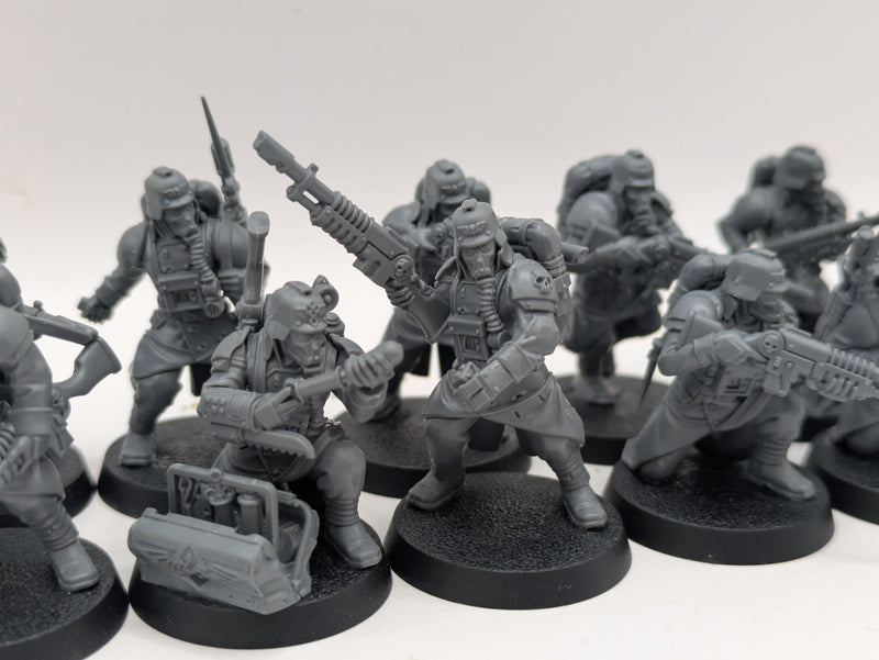 Warhammer 40k: Astra Militarum Death Korps of Kreig Veterans (AT211)